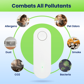 Plug-In Ionic Air Purifier