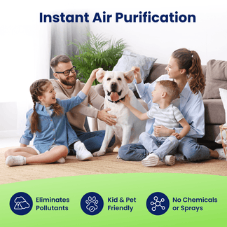 Plug-In Ionic Air Purifier